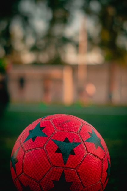 格里马尔多：上半场我们不得不追着本菲卡跑，还好最终赢了